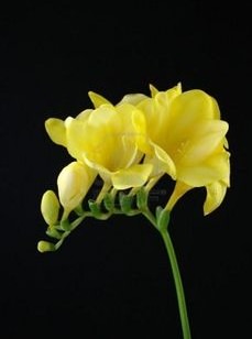 13zySsI_75BYGljKGc7CI_VDM2pqE8f8ScgJ.jpg