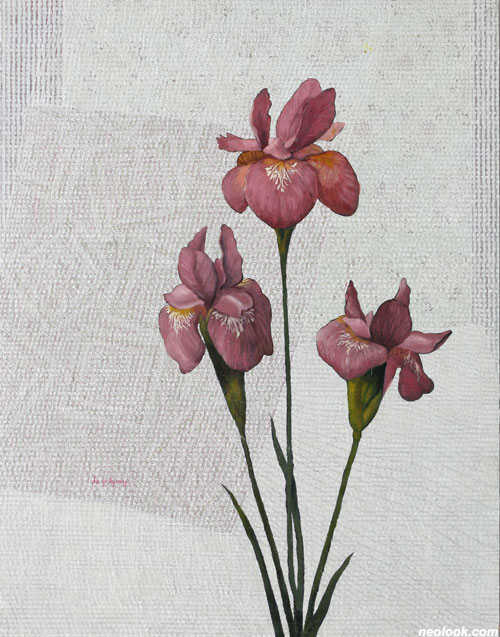 2039473352_5e8545bb_09051507d_mufshYu6W1r.jpg